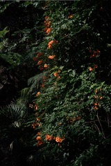 B44BA0DD-EDA7-4CDE-AD46-365D9297C036/L0/001