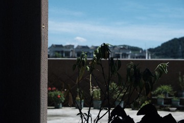 ED1A1883-F001-454E-856A-930C7F2FD6BA/L0/001