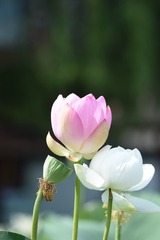 001