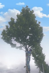 689
