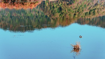 _DSC8229-1