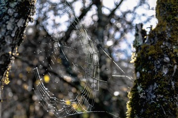 _DSC8269-1
