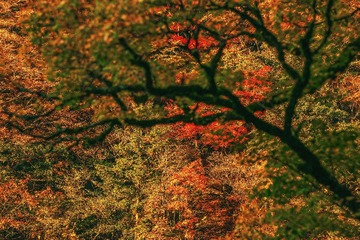 _DSC8171-1