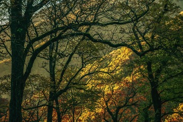 _DSC8162-1