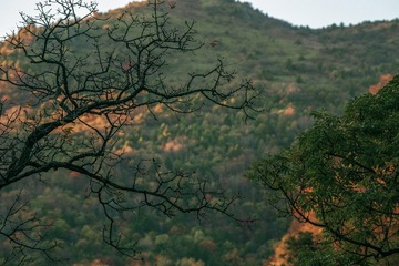 _DSC8177-1