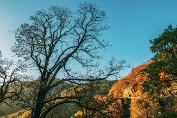 _DSC8160-1