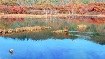 _DSC8227-1