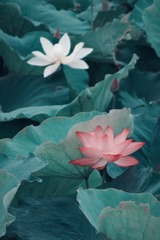 001