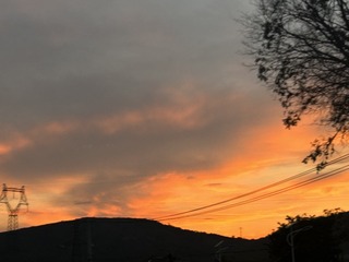 697E907B-9DF6-4F37-883A-C87E3F1199B0/L0/001