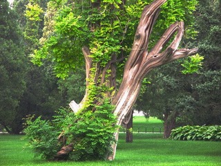 PICT0033.jpg