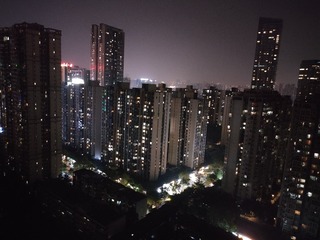 1000036210