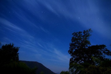 IMG_5145.jpg