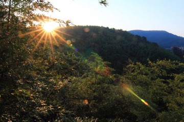 IMG_4771.jpg