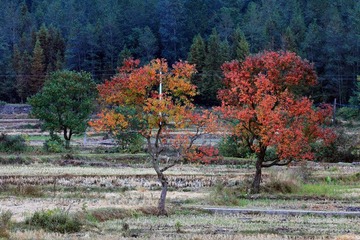 IMG_6319.jpg