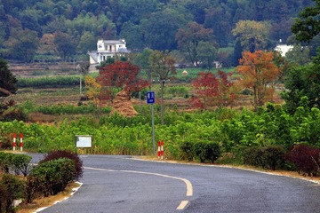 IMG_6339.jpg