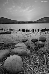 IMG_7141.jpg