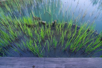 IMG_7299_web.jpg