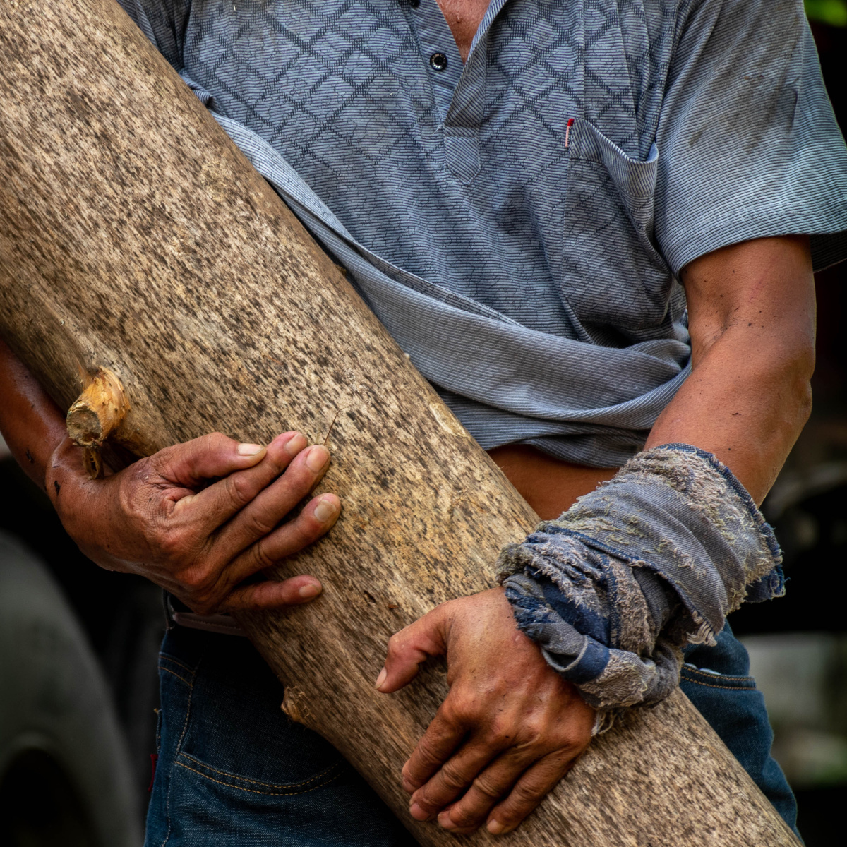 搬运木材的工人