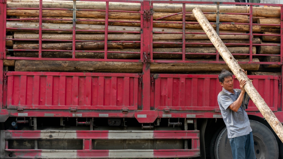 搬运木材的工人
