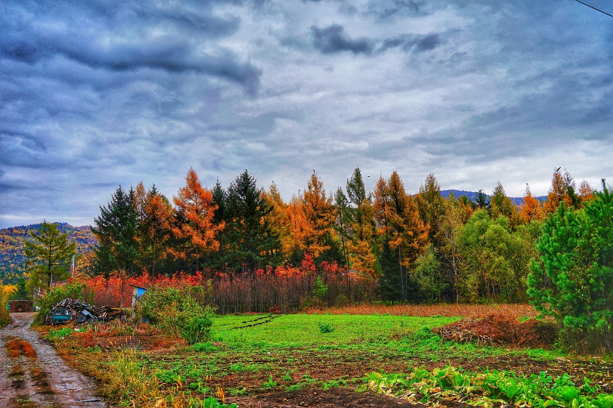秋季乡村的景色