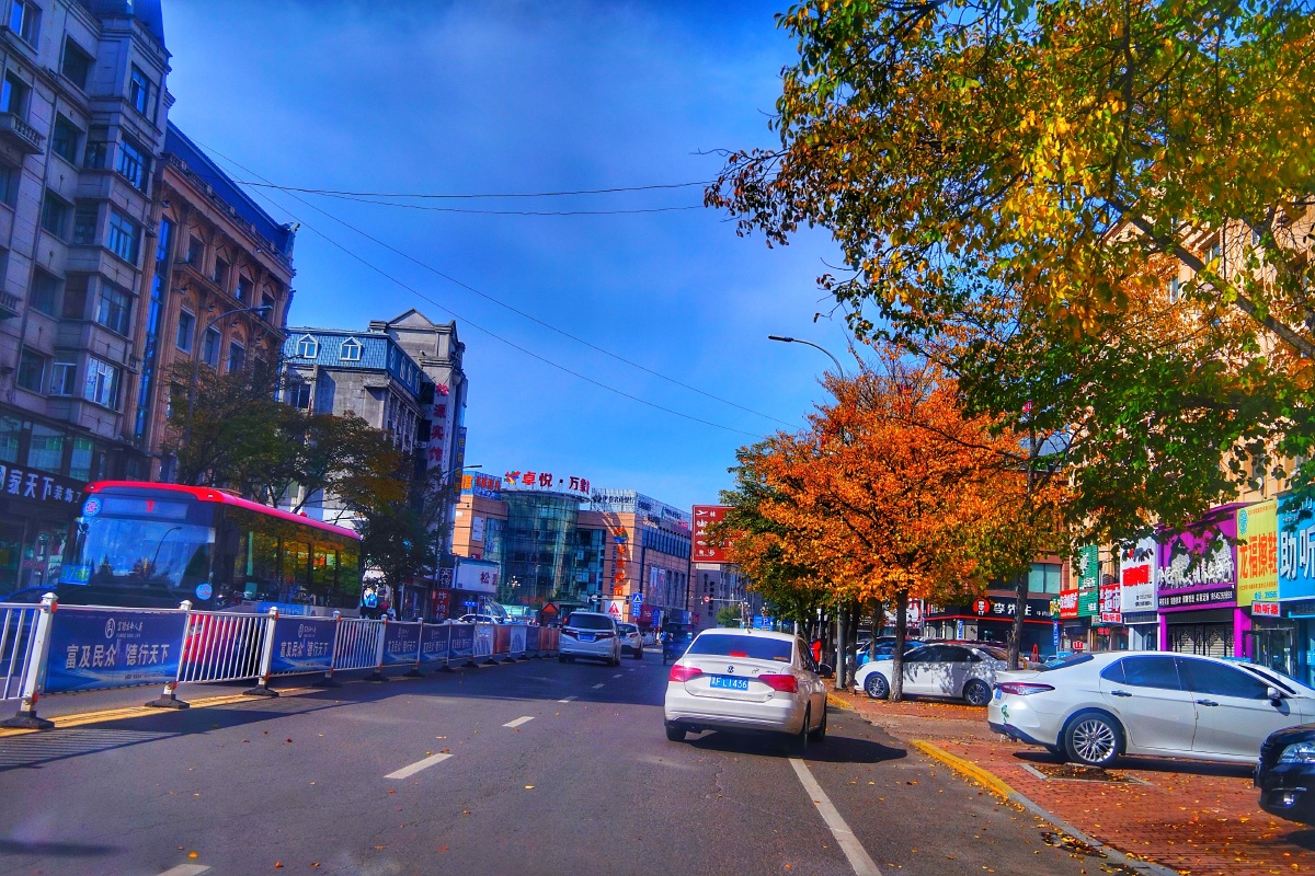 秋天的城市街景