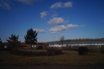 917579