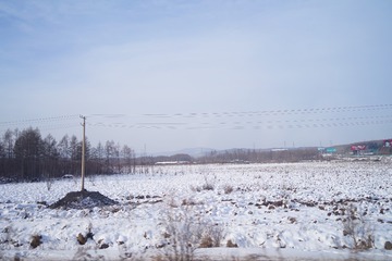 738363