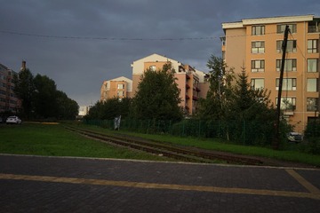 2902769