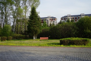 2729816