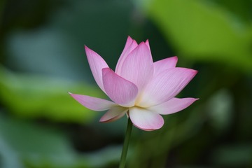 D0E2823F-B055-41D1-8CDF-A8EBF7DF4C19/L0/001