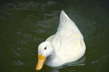 40280
