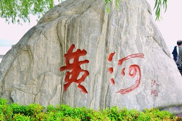 1000047767