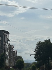 EE5DCB95-1D88-4E61-A84E-B627B0BC4661/L0/001