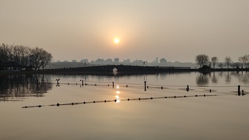 1000043440