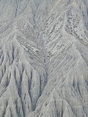 1000029088