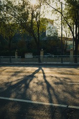 260008