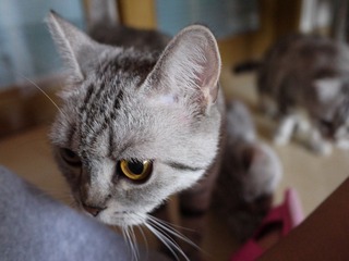 P1000087.JPG
