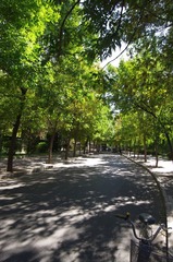 IMGP6510.JPG
