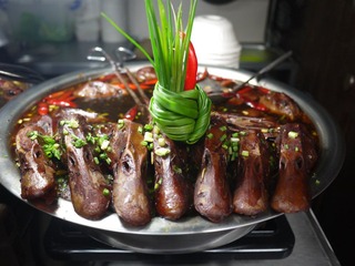 P1000444.JPG