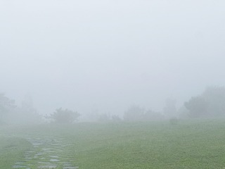 E2FB13B5-7082-4362-A911-808B24B82C2D/L0/001