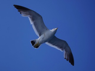 1437DD70-08AD-4719-B6A4-10413F1B1922/L0/001