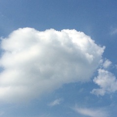 17F8B396-7FC4-489E-A870-AC759548A66D/L0/001