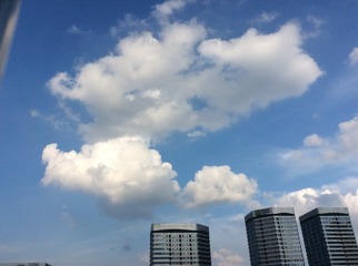 FAFD2CC0-A95C-4F0E-B50B-99FA910FD4C6/L0/001