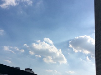 B8B7F35C-C785-4E4E-855E-344BAF2AD6DF/L0/001