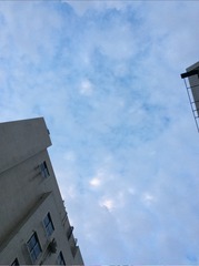 15B2DA2F-3A21-4791-917F-2DD7D4361700/L0/001