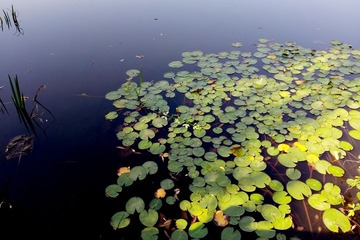 20131005_085957