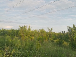 849912