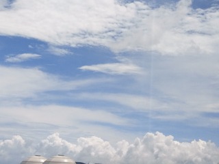 1000002291