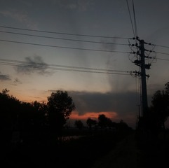 35729
