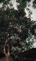 C9CCC085-710F-49FE-A958-9FEBE8509209/L0/001
